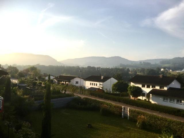 Swiss View Διαμέρισμα Hohentengen am Hochrhein Εξωτερικό φωτογραφία
