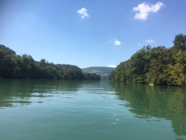 Swiss View Διαμέρισμα Hohentengen am Hochrhein Εξωτερικό φωτογραφία